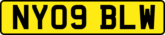 NY09BLW