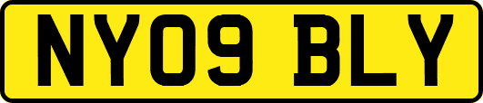 NY09BLY