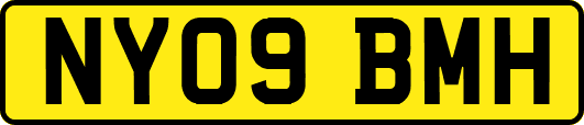 NY09BMH