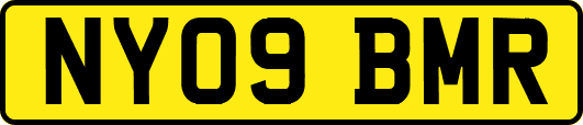 NY09BMR
