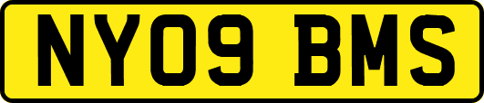 NY09BMS