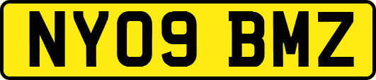 NY09BMZ