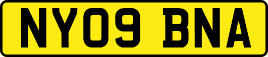 NY09BNA