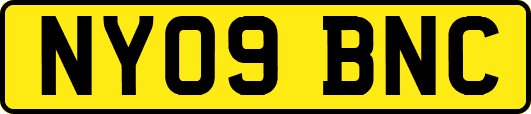 NY09BNC