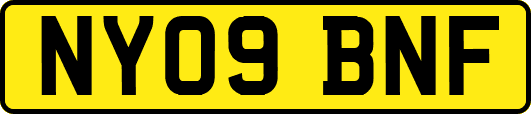 NY09BNF