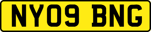 NY09BNG