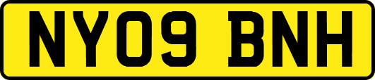 NY09BNH