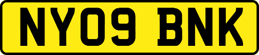 NY09BNK