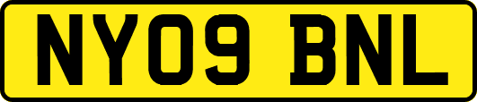 NY09BNL