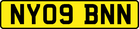 NY09BNN