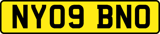 NY09BNO