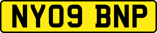 NY09BNP
