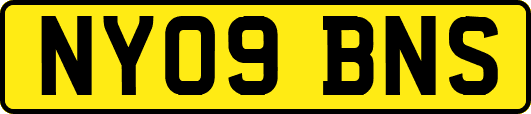 NY09BNS