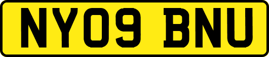 NY09BNU