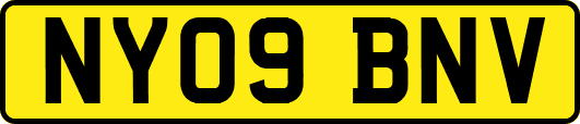 NY09BNV