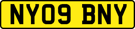 NY09BNY