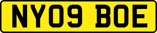 NY09BOE