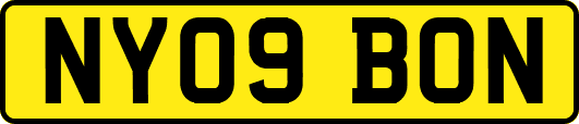 NY09BON