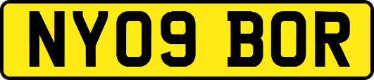 NY09BOR