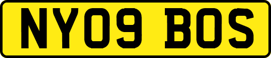 NY09BOS