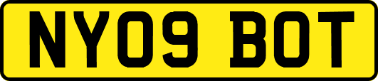 NY09BOT