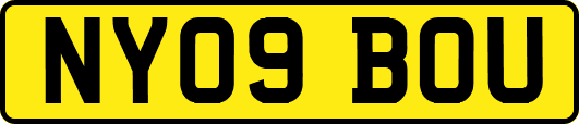 NY09BOU