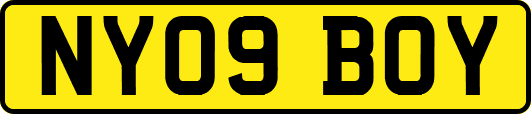 NY09BOY