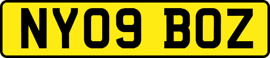 NY09BOZ