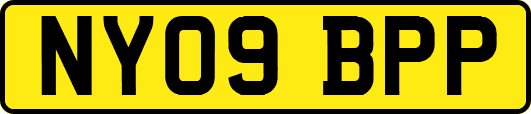 NY09BPP