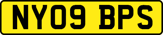 NY09BPS
