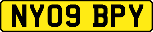 NY09BPY