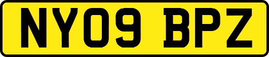 NY09BPZ