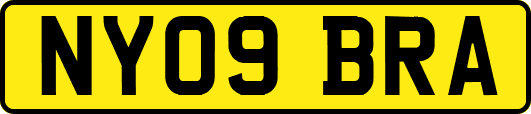 NY09BRA