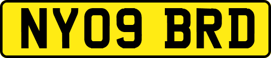NY09BRD