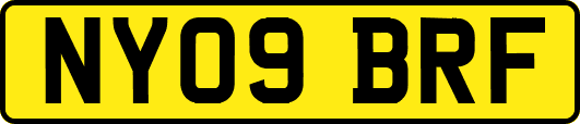 NY09BRF