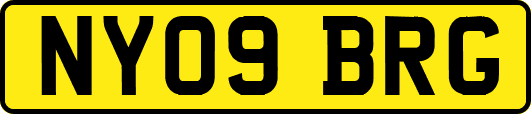 NY09BRG