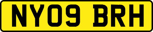 NY09BRH