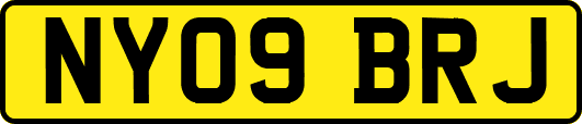 NY09BRJ