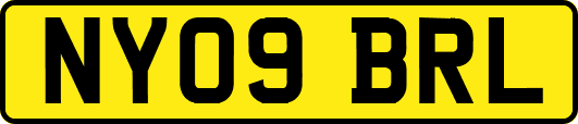 NY09BRL