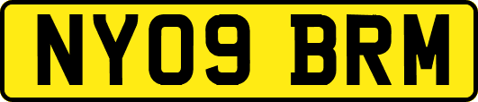 NY09BRM