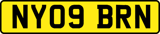 NY09BRN