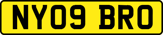 NY09BRO