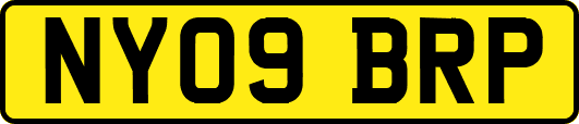 NY09BRP