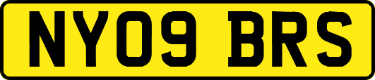 NY09BRS