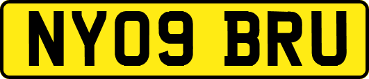 NY09BRU
