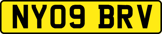 NY09BRV