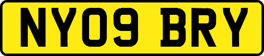 NY09BRY