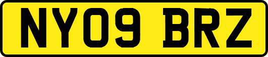 NY09BRZ