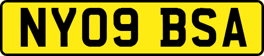 NY09BSA