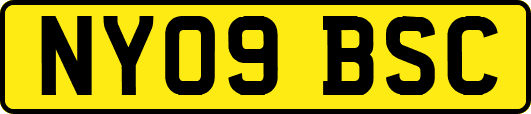 NY09BSC